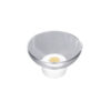 Round Glass Fruit Bowl