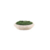 Beige Round Flower Pot