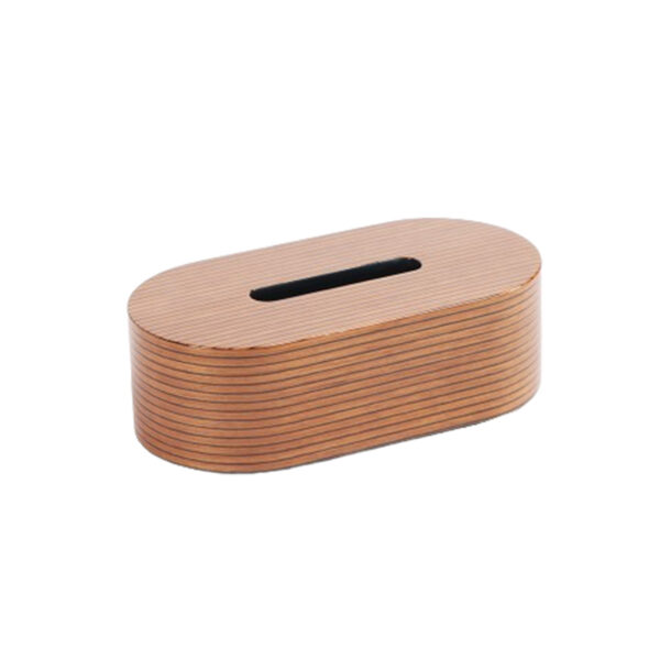 Simple Ellipsoid Tissue Box