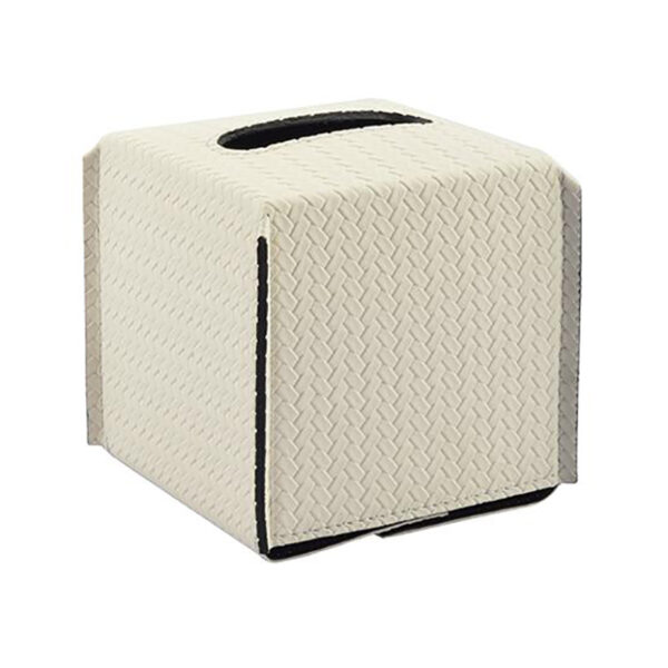 Beige Simple Tissue Box