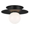 Homestay Round Ceiling Lamp