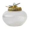 Pot de rangement en verre libellule