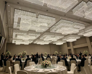 Wedding & Banquet Lighting